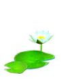 ���������ߺ��°�